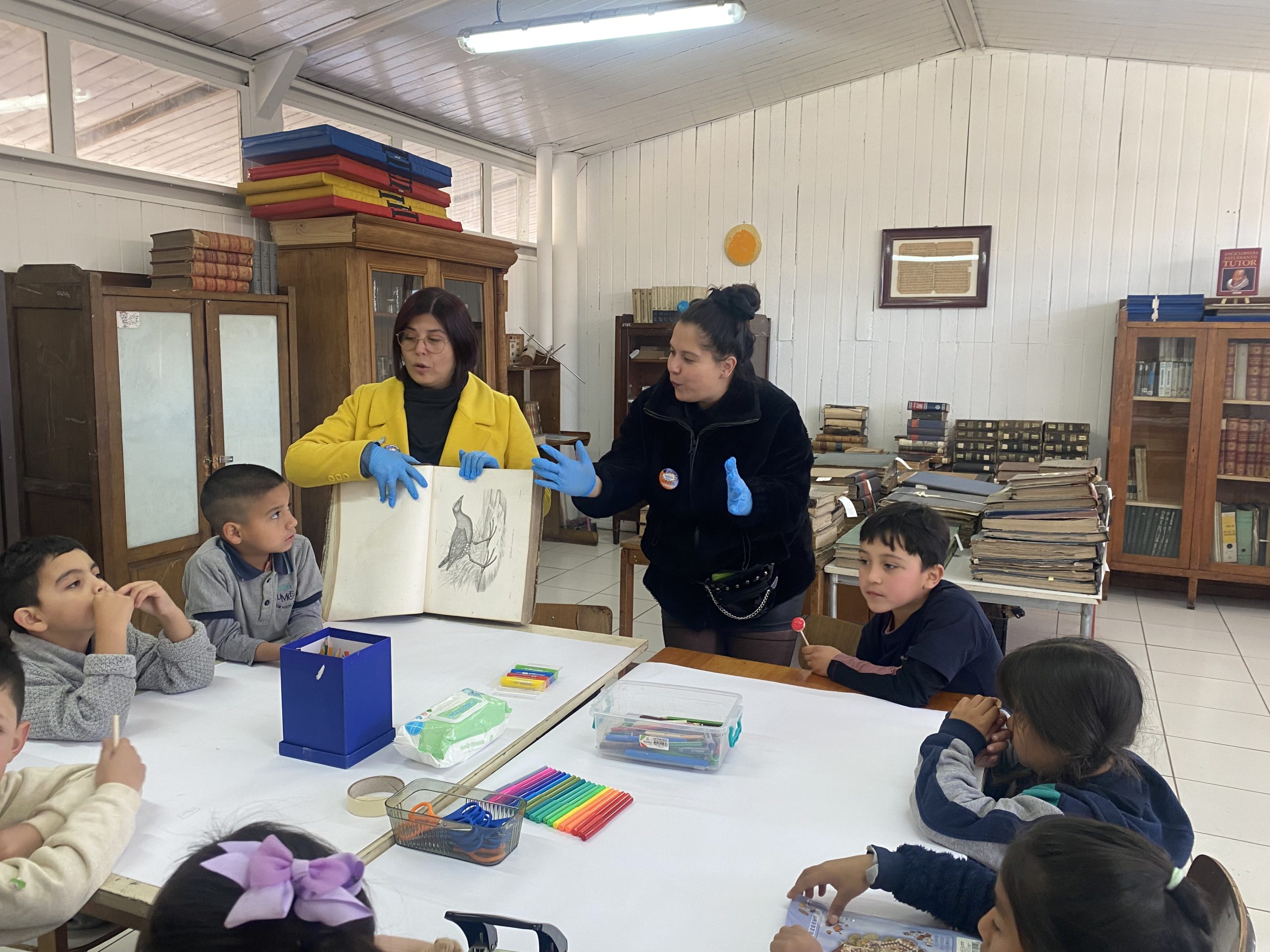 Actividad Aves que llevan memorias con estudiantes de primero básico