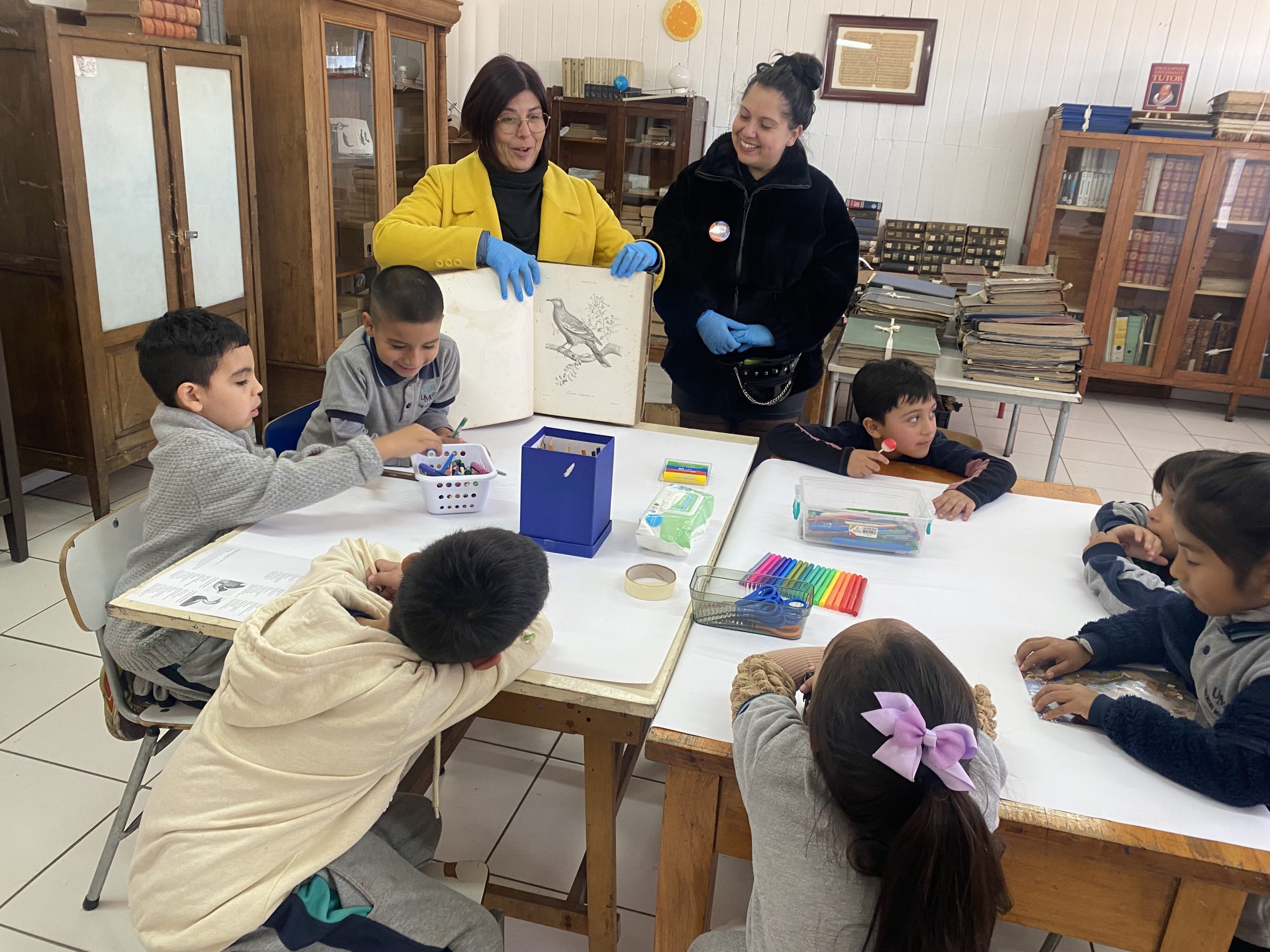 Actividad Aves que llevan memorias con estudiantes de primero básico