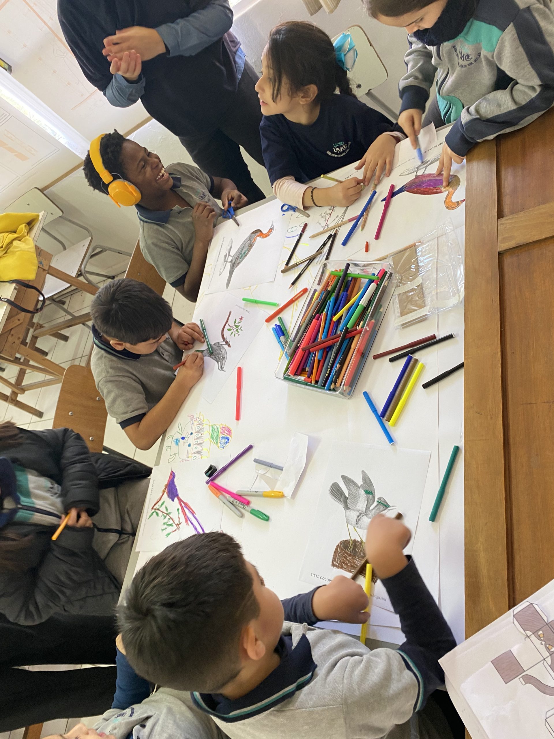 Actividad Aves que llevan memorias con estudiantes de segundo básico